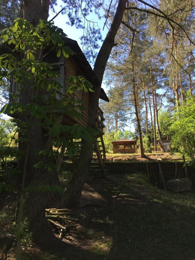 Domek Z Bali Tryszczyn Nad Brda المظهر الخارجي الصورة
